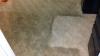 Photo for Superior Quality Cleaning Services LLC - Greensboro