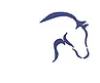 Photo for Manor Equestrian Center