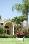 Photo for First impression Lawn and Landscape - Tampa