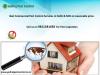 Photo for Pest control in Delhi | Dial +91-9811381458
