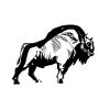 Photo for Big Buffalo House Painting