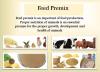 Photo for Feed Premix Market by Type, Application & End-Users Analysis Report 2018