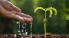 Photo for Soil Wetting Agents Market 2018 - Leading Players and Market Analysis