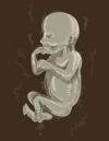 Photo for Global Fetal Monitoring Market is Growing at a Significant Rate in The Forecast Period 2017-2024