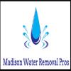 Photo for Madison Water Removal Pros