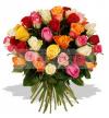Photo for Send Fresh Flowers Online In Delhi With City Flowers