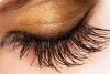 Photo for Lash Growth Serums