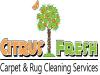 Photo for   Citrus Fresh Carpet & Rug Cleaning Services