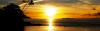 Photo for Sunset Vapor