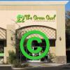 Photo for The Green Gurl