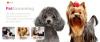 Photo for The Pet Waggin