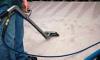 Photo for Glendale Carpet Cleaners - Carpet Cleaning Pros