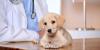 Photo for Mililani Town Center Pet Clinic