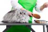 Photo for Bonnie's Dog & Cat Grooming
