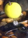Photo for Carp Fishing Rigs