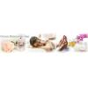 Photo for Ocean Relaxation Spa