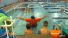 Photo for Bear Paddle Swim School & Clubhouse