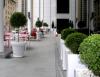 Photo for Hire Plants Sydney