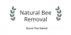 Photo for Natural Bee Removal