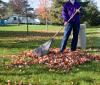 Photo for GRO Landscaping