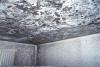 Photo for Fire Damage Cleanup Philadelphia