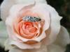 Photo for Lovely Engagement Rings