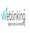 Photo for Weblinking net