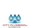 Photo for AAA City Plumbing
