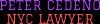 Photo for Peter Cedeno Divorce Lawyer