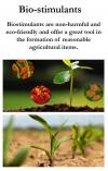 Photo for Bio-stimulants Market Present Scenario and the Growth Prospects with Forecast 2024