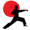 Photo for Team Martial Arts Inc.