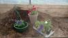 Photo for New Dungeness Nursery