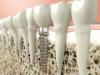 Photo for Yorktowne Dental Family Practice
