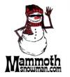 Photo for MammothSnowman.com