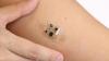 Photo for Biosensors Market And its Growth prospect in the Near Future