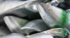 Photo for Aluminium Die Casting Products