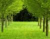 Photo for Love Landscapes Inc