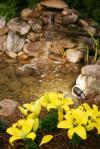Photo for Marin Landscaping