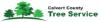 Photo for Calvert County Tree Service