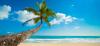 Photo for Sri Lanka Vacation
