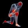 Photo for CDX Labs CBD :Improve The Flexbility Joint Pain Any Body!
