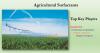 Photo for Agricultural Surfactants Market: Growth opportunities for this market in the future.