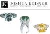 Photo for Joshua Kodner