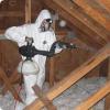 Photo for ATTIC Space Cleanup