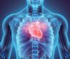 Photo for Cardiac Rhythm Management Devices Market Top Producers, Share, Growth Opportunity and Consumers