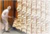 Photo for Global Foam Insulation Market Is Growing At a Significant Rate in the Forecast Period 2017-2024