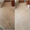 Photo for Green Carpet Cleaning Irving