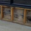 Photo for Catstrong Mold Inspection West University Place