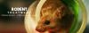 Photo for Rodent treatment in Noida, Dial +91-9899176888
