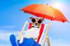 Photo for dogs for adoption Services providers